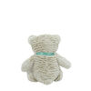 2020 Starlight Bear