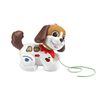 VTech Walk and Woof Puppy - French Edition