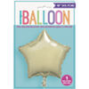 Solid Star Foil Balloon 18" Gold