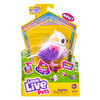 Little Live Pets Lil' Bird - Tweeterina