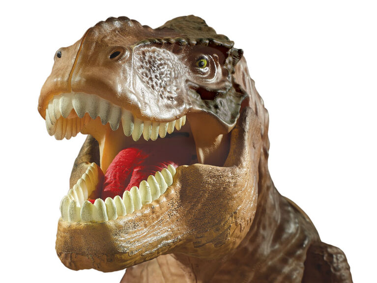 Projecteur T-Rex et garde de salle Brainstorm Toys