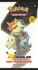 Paquet Premier Partenaire Pokémon - Johto - Édition anglaise