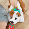 Fisher-Price 123 Crawl With Me Puppy - French Edition