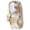 Frozen II Elsa Epilogue Wig