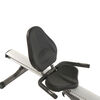 Stamina Products, Avari Conversion II Rower