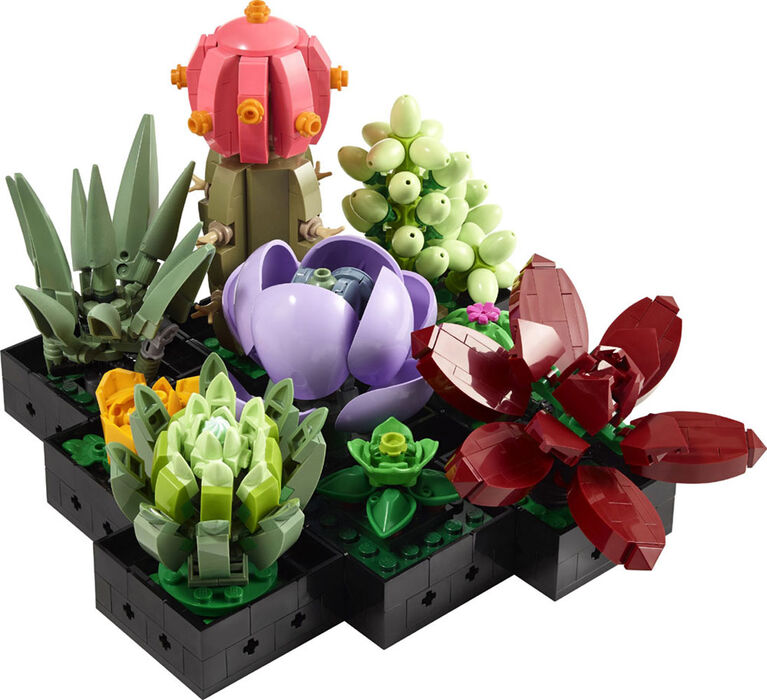 Les succulentes LEGO 10309 Ensemble de construction de décoration végétale (771 pièces)