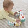 Fisher-Price Tethered Soft Blocks Newborn Toy with Sensory Activities, Fun-to-Flip