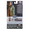 Marvel Legends Series MCU Disney Plus Sharon Carter Action Figure 6-inch Collectible Toy