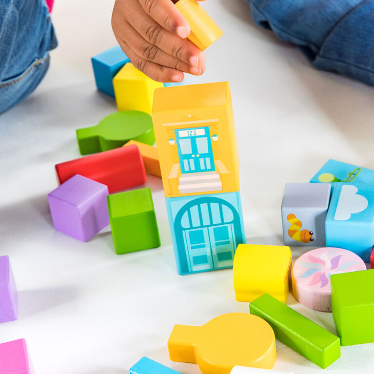 SettheScene Sesame Street Wooden Storytelling Blocks Babies R Us Canada