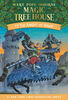 The Knight at Dawn - English Edition