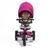 Bentley 6In1 Stroller / Trike Fuschia
