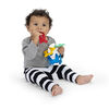 Baby Einstein Ocean Explorer - Sea of Sensory Teether Toy