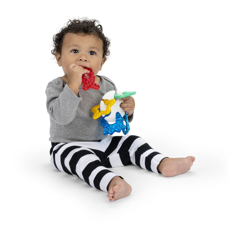 Baby Einstein Ocean Explorer - Sea of Sensory Teether Toy