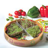 Plant a Pizza Garden