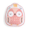 Owl Plush Throw and Pillow Set