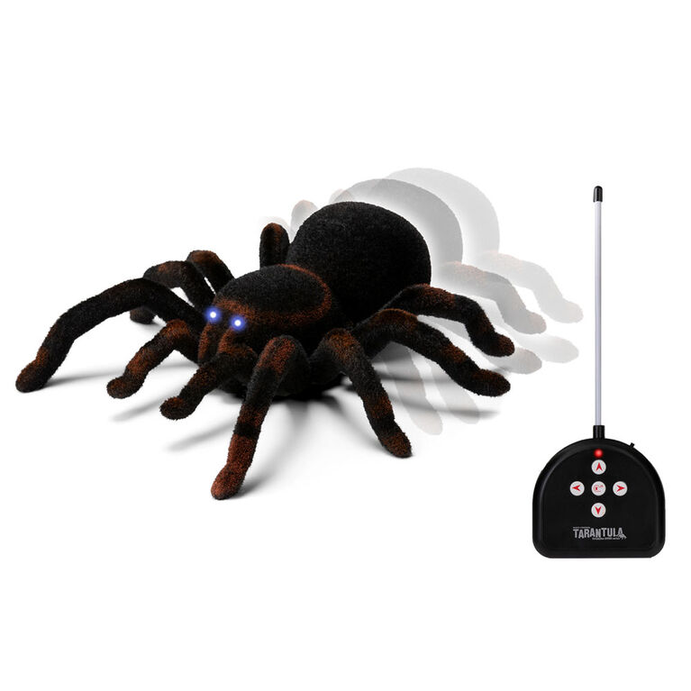 Voiture télécommandée Discovery Kids rc tarantula - araignée aux yeux  lumineux et sonore