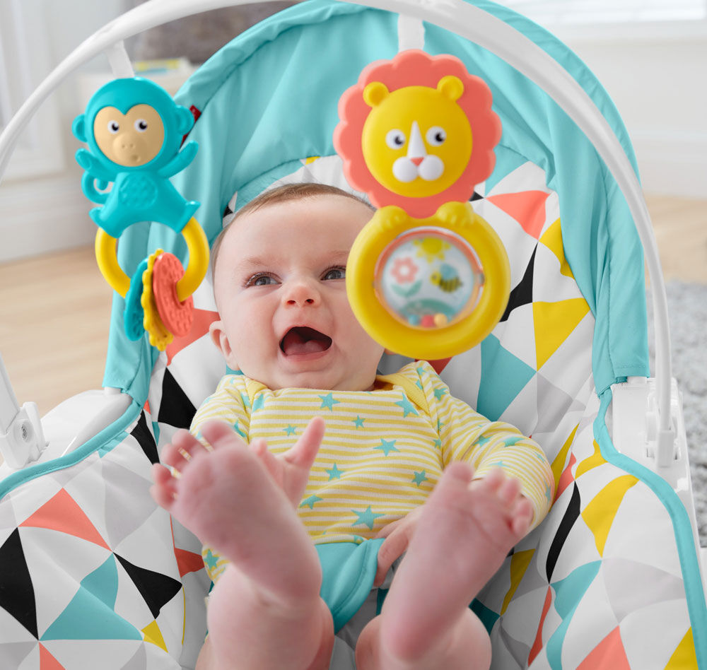 Fisher Price Newborn to Toddler Portable Rocker Babies R Us Canada