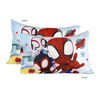 Ensemble de literie 2 Articles Spidey pour Enfant
