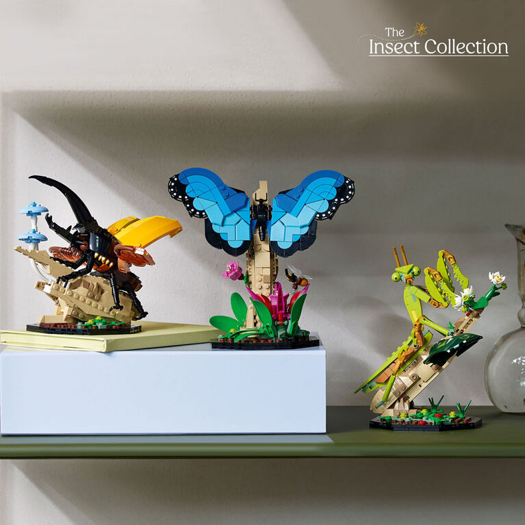 LEGO Ideas La collection d'insectes 21342 Ensemble de construction pour adultes (1 111 pièces)