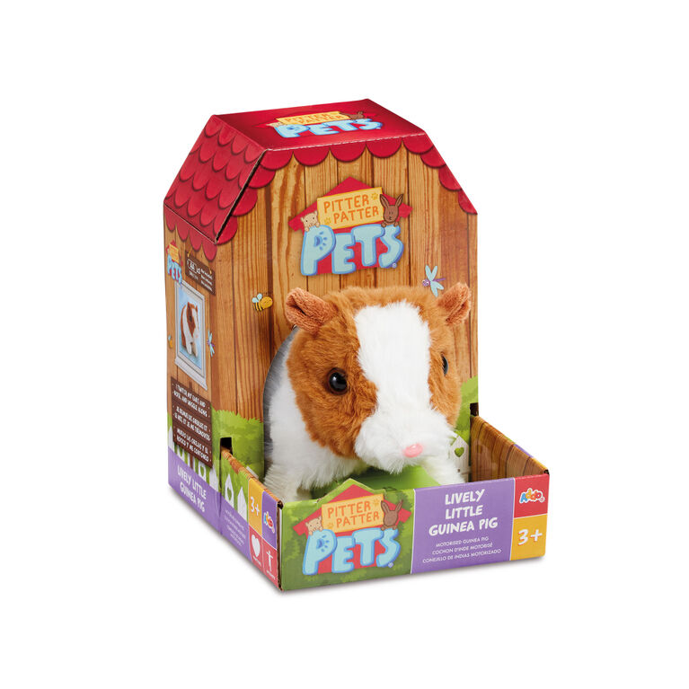 Pitter Patter Pets cochon d'Inde motorisé - Notre Exclusivité