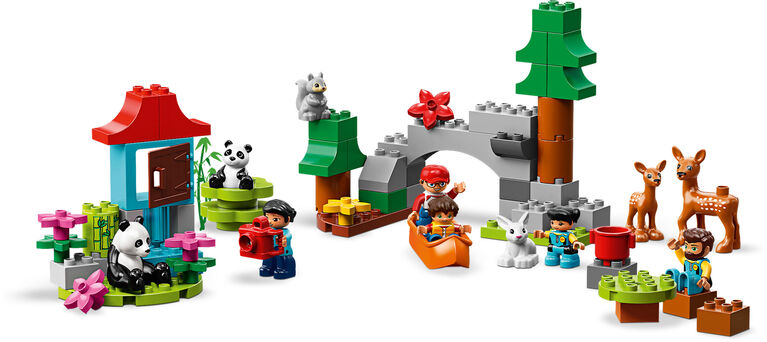 LEGO DUPLO Town Les animaux du monde 10907 (121 pièces)