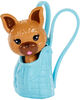 Barbie Color Reveal Pet with 5 Surprises