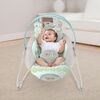 Ingenuity SmartBounce Automatic Bouncer - Hamilton