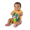 Bright Starts Hide & Peek Block