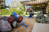 Hot Wheels Monster Trucks Tiger Shark Climber RC Vehicle, Battery-Powered Remote-Control Toy Truck