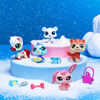 Littlest Pet Shop Besties D'Hiver 5-Pk