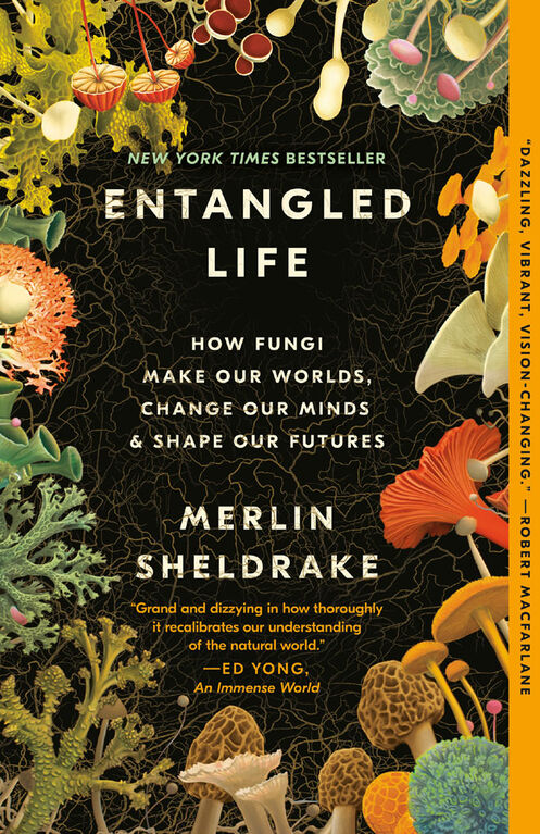 Entangled Life - English Edition