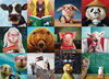 Funny Animals 1000 Piece Puzzle