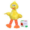 Playskool Friends Sesame Street - Minipeluche Big Bird