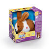 Pitter Patter Pets - Happy Hoppy Bunny Chocolate Brown and White - Colour may vary
