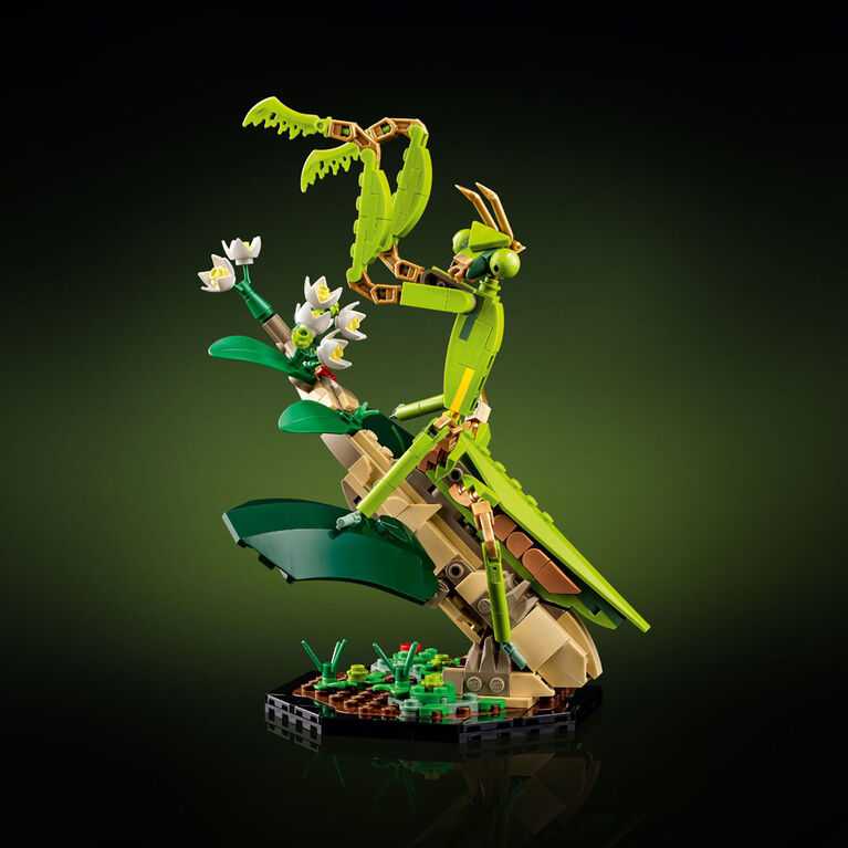 LEGO Ideas La collection d'insectes 21342 Ensemble de construction pour adultes (1 111 pièces)