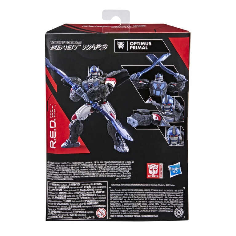 Transformers R.E.D. [Robot Enhanced Design], figurine Optimus Primal de 15 cm, non convertible, dès 8 ans