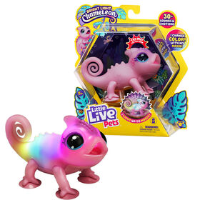 Little Live Pets Lil' Chameleon Single Pk Nova