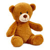 Snuggle Buddies 10" My First Bear - R Exclusive - 1 per order, colour may vary (Each sold separately, selected at Random)