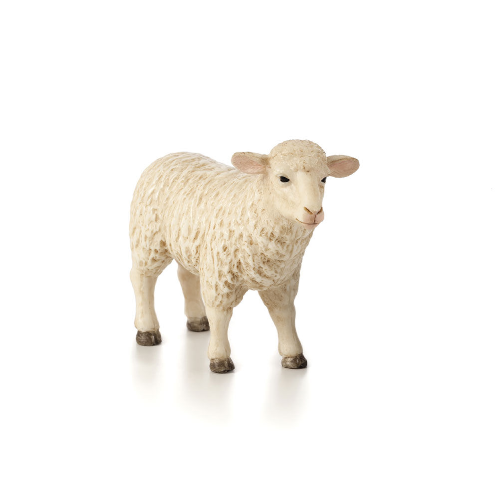 ALEX - Sheep (Ewe) - Medium