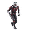 Hasbro Marvel Legends Series Ant-Man, Ant-Man and the Wasp: Quantumania Marvel Legends Action Figures, 6 Inch