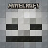 I Survived a Skeleton! (Mobs of Minecraft #2) - English Edition