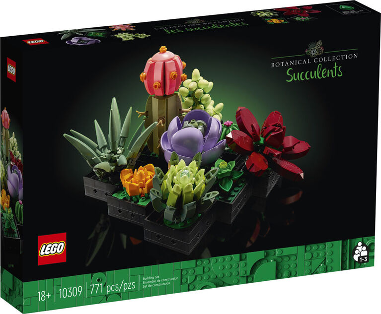 LEGO Botanicals Les succulentes; plantes d'intérieur, cactus, aloe vera, echeveria 10309