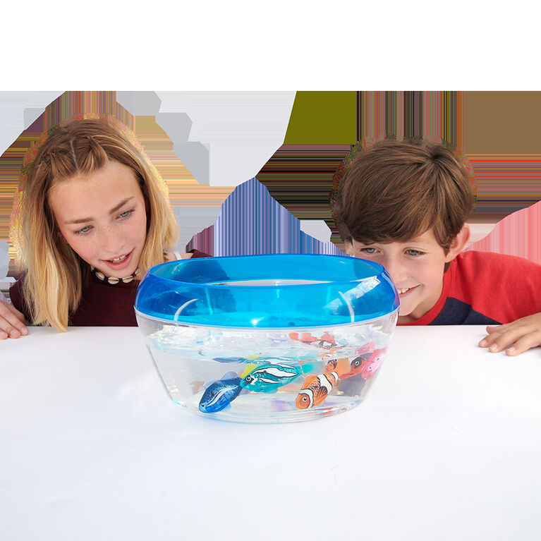 Coffret Robo Fish nageur en bocal par Zuru