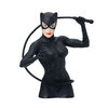 DC Comics Catwoman Bank - English Edition