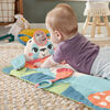 Fisher-Price Planet Friends Roly-Poly Panda Baby Activity Play Mat with 2 Toys