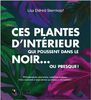 Ces plantes d'interieur qui poussent