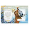 The Little Book of Woodland Bird Songs  - English Edition