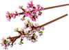 Les fleurs de cerisier Cadeau de fête 40725