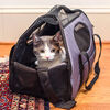 Gen7Pets Carry-Me Pet Carrier - Grey Shadow