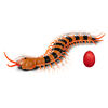 Mille-pattes téléguidé